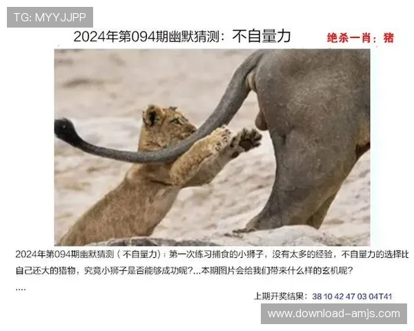 澳门开奖登录入口最新官方平台，安全稳定保障玩家顺畅体验